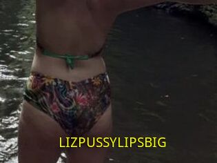 LIZPUSSYLIPSBIG