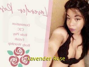 Lavender_Rose