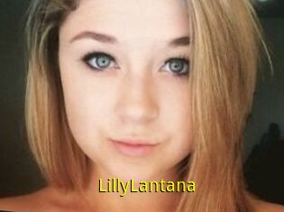 LillyLantana