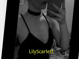 Lily_Scarlett