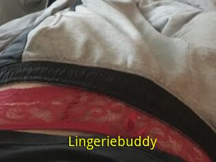 Lingeriebuddy