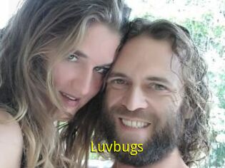 Luvbugs