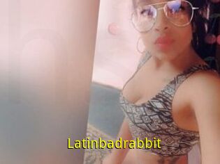 Latinbadrabbit