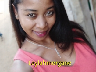 Laylahmorgane