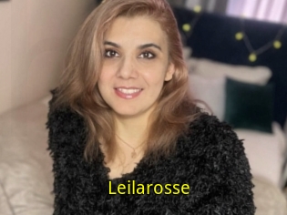 Leilarosse