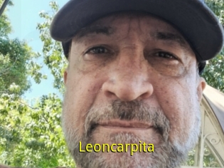 Leoncarpita