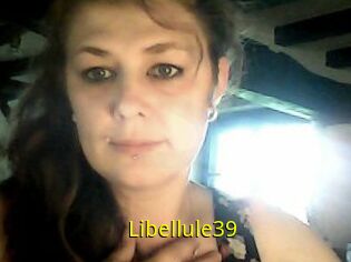 Libellule39