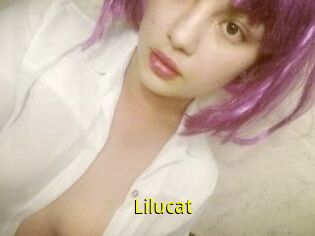 Lilucat