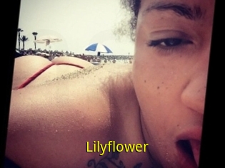 Lilyflower