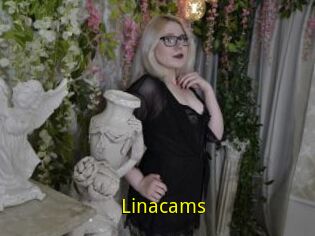 Linacams