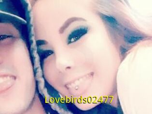 Lovebirds02477