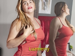 Luzmerry