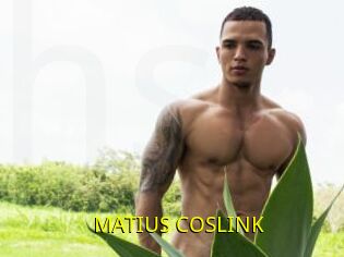 MATIUS_COSLINK