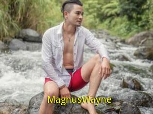 MagnusWayne