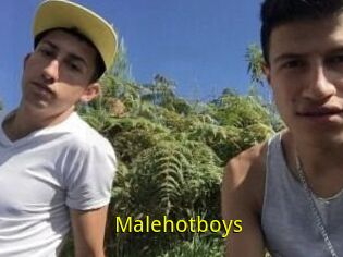 Malehotboys