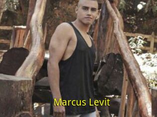 Marcus_Levit