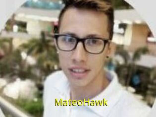 MateoHawk