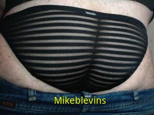 Mikeblevins