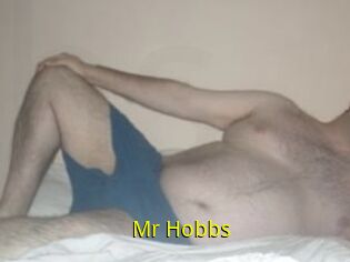 Mr_Hobbs