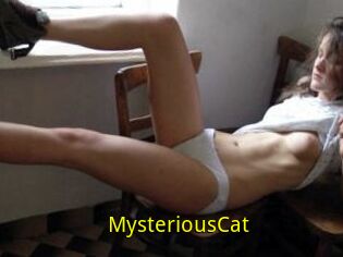 MysteriousCat