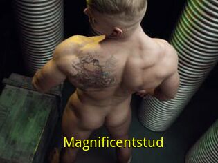 Magnificentstud