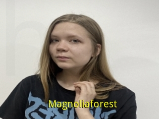 Magnoliaforest