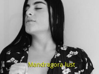 Mandragora_lust