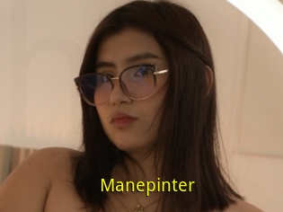 Manepinter