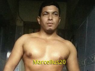 Marcellus20