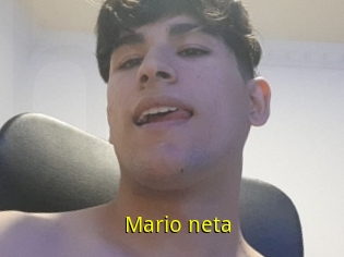 Mario_neta