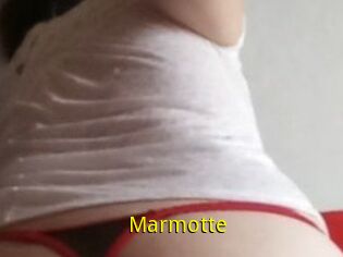 Marmotte