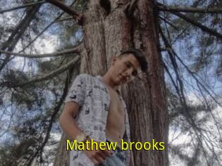 Mathew_brooks