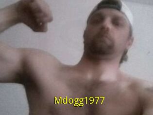 Mdogg1977