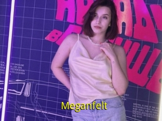 Meganfelt