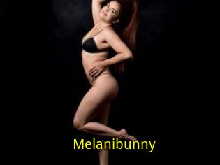 Melanibunny