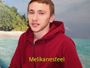 Melikanesfeel