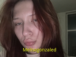 Melisagonzaled