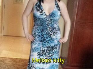 Melisas_kitty