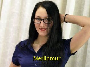 Merlinmur