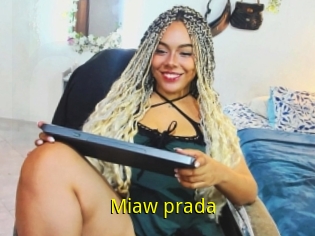 Miaw_prada