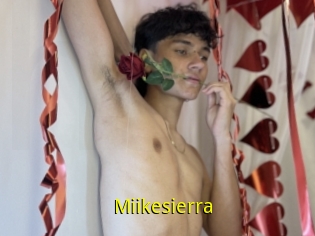 Miikesierra