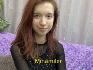 Minamiler