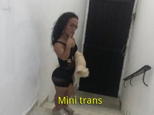 Mini_trans