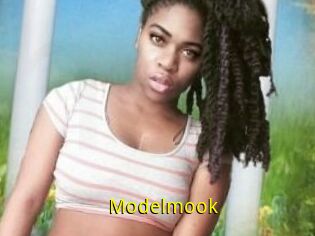 Modelmook