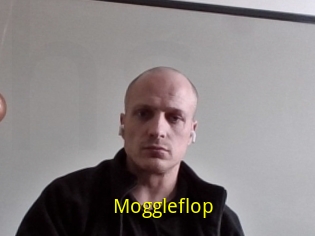 Moggleflop