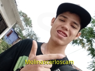 Molinascarloscam