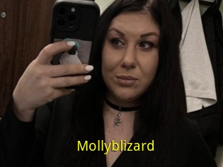 Mollyblizard