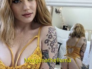 Morganathellama