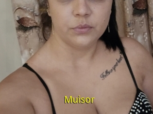 Muisor