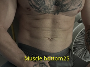 Muscle_bottom25